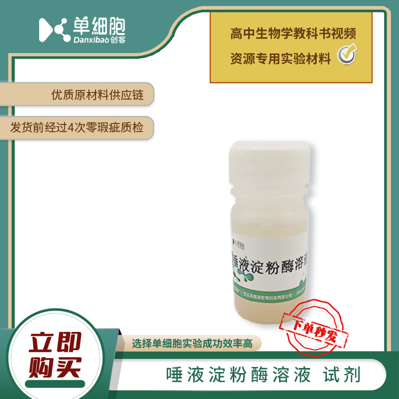 唾液淀粉酶溶液  适用实验《馒头在口腔中的变化》