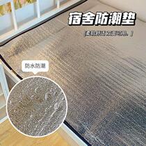 Dormitory moisture-proof mat dirt-proof and moisture-proof mattress mildew-proof bed waterproof outdoor household floor mat student single