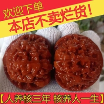 Machine-brushed pulp-coated jade-based antique walnuts old walnuts walnut plates antique walnuts official hats lion head bracelets