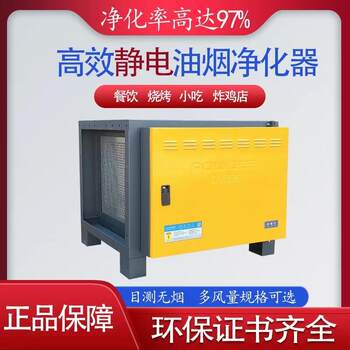 Baolijie Oil Fume Purifier 4000 Air Volume 6000 Commercial Use for Catering and Restaurant Kitchens, Low-Altitude Emission, Visually Smoke-Free