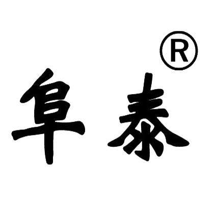 阜泰灯具旗舰店的LOGO