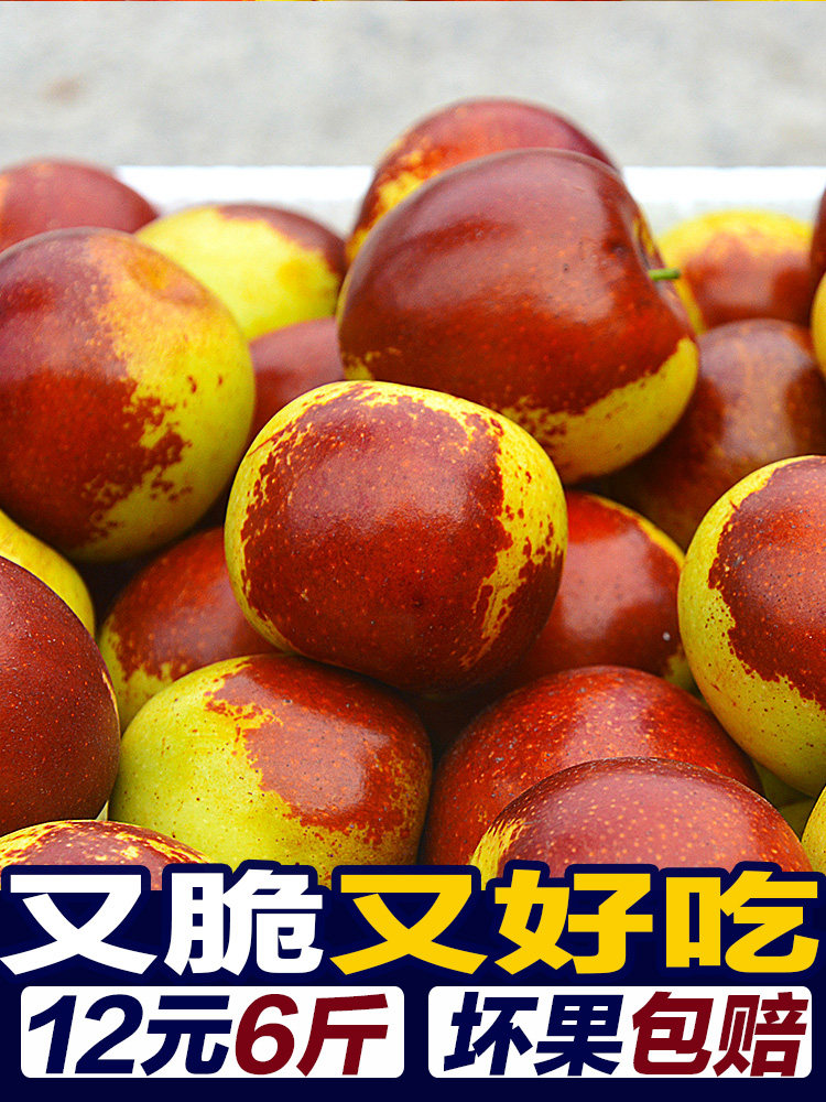 果乐汇生鲜供应链的LOGO