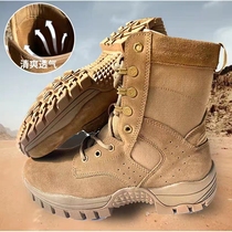 Genuine International Brown Combat Mens Training Boots training Wear training Summer Side Zipper Outdoor Climbing Shoes Screening Desert Boots