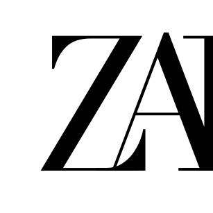 NO LOGO Z家平替
