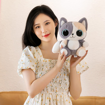 New paparazzi cute Lingang cat sends girls Valentines Day Mao suede toy Birthday Gift Children Toy Pillow