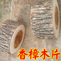 Moyu (MOYU) camphor wood pier camphor wood pier camphor wood block with bark tree segment pure solid wood root carving material raw material