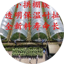 Agricultural transparent plastic film for growing vegetables small arch shed film agricultural special film plastic paper insulation film cold-proof greenhouse