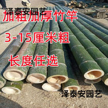 Bamboo Rod Bamboo Rod Bamboo Rod Bamboo Rod Bamboo Rod Bamboo Rod Bamboo Rod Coarse Bamboo Rod Work Large Hair Bamboo Hitch Bamboo Pole For Dancing Bamboo Pole 3-4 Cm)