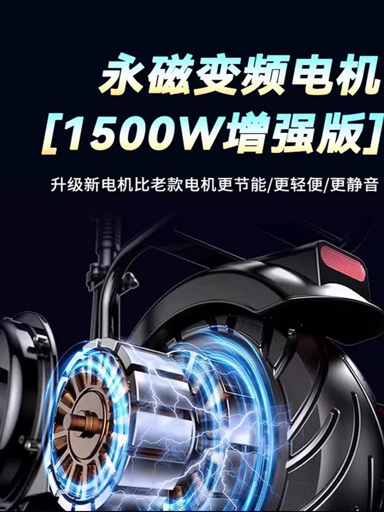 Electric scooter folding, 48V, 800W or 1500W motor, removable battery and long-range options