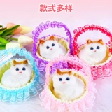 Игрушка, светящаяся маленькая корзина, кукла, котенок, кот, подарок на день рождения