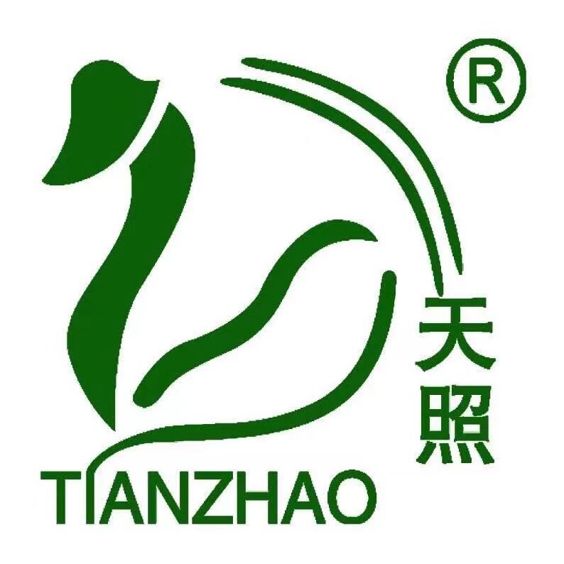 天照旗舰店的LOGO