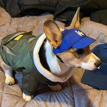 Dog hat open-ear baseball cap pet sun hat Corgi Shiba Inu small dog Teddy cat puppy duck tongue