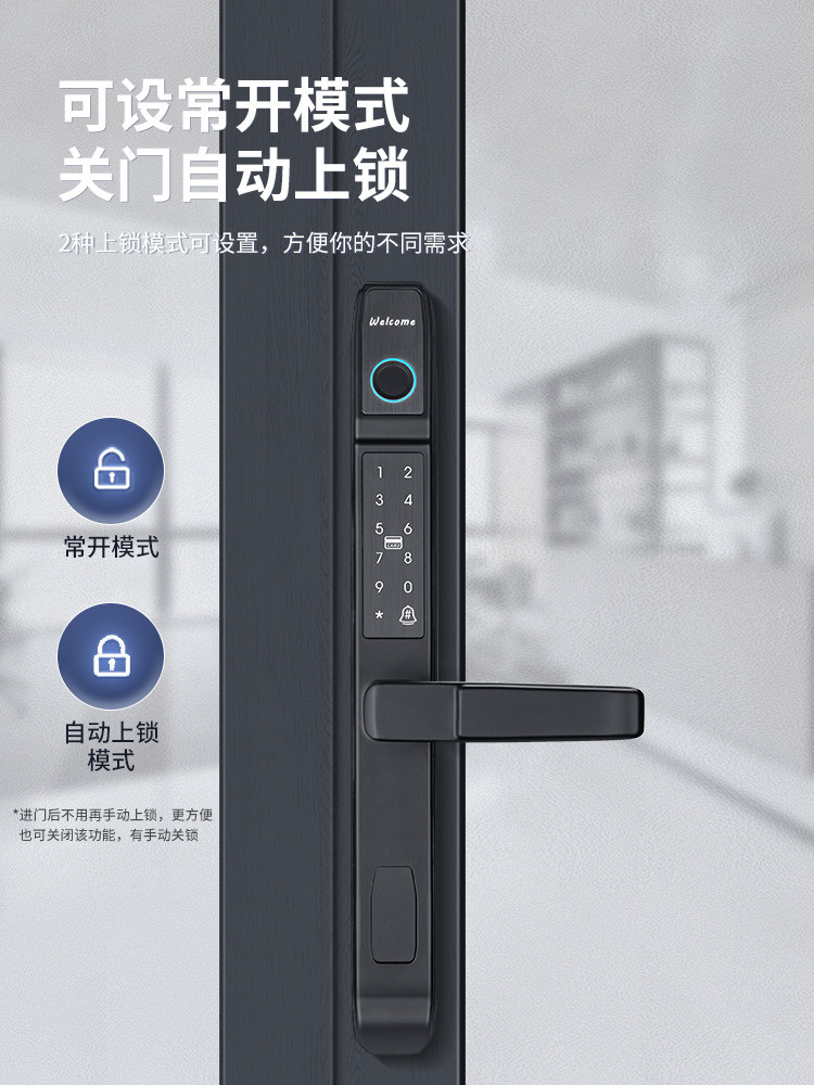 Broken Bridge Aluminum Alloy Smart Door Lock Sliding Glass Door Courtyard Door Password Lock Kfc Outdoor Waterproof Fingerprint Lock