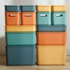 Wardrobe Storage Box, Small Size, for Snacks, Clothes, Miscellaneous Items, Household Kitchen Seasoning Plastic Storage Basket with Lid