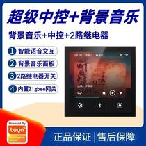 Tuya Solution 4-inch 86 background music panel host multi-function F5 intelligent central control screen gateway with 2-way switch