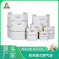 Industrial and commercial gas meter mechanical natural gas diaphragm gas meter G25 caliber gas meter steel case material