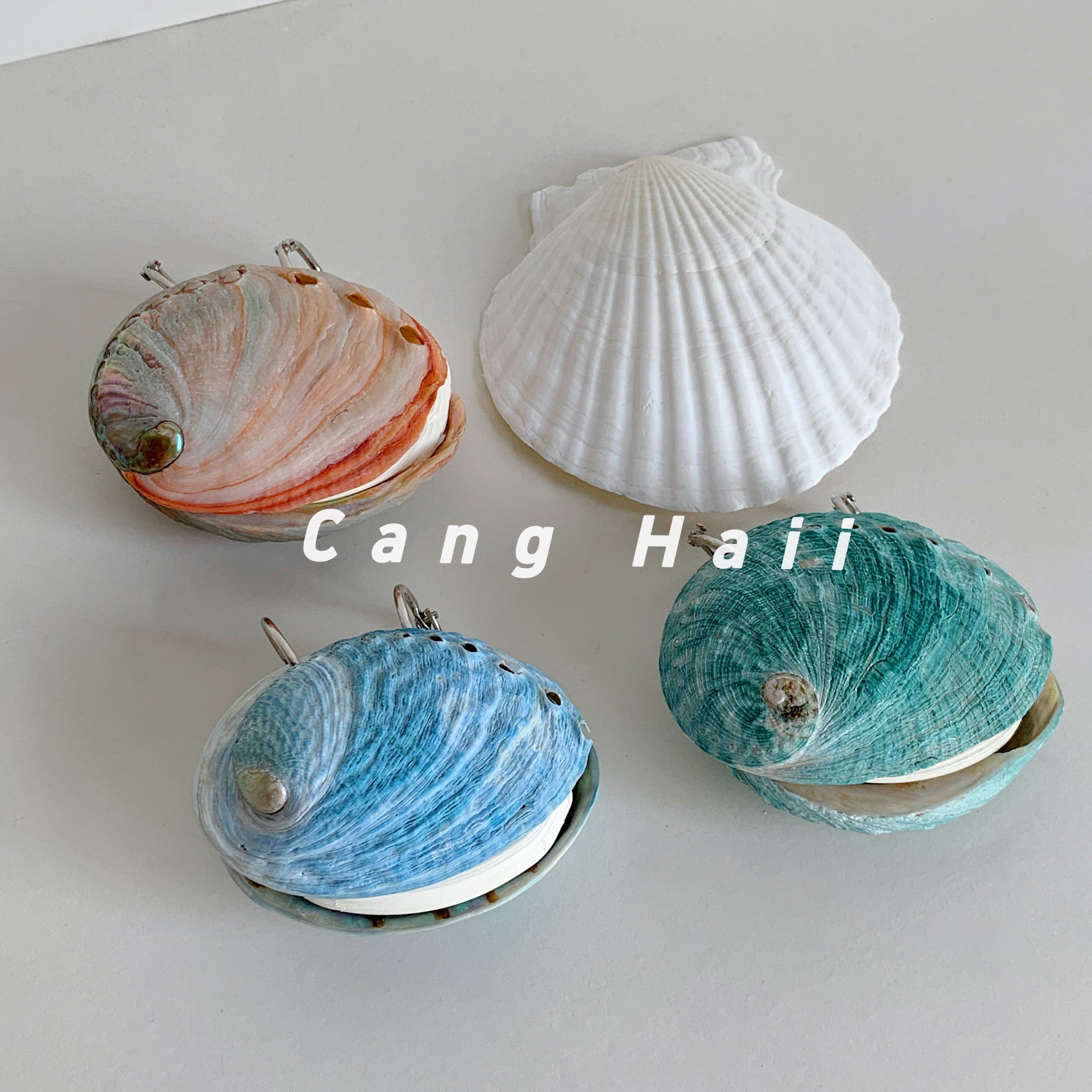 ShellCoveオリジナルデザイン 天然貝殻（巻貝）