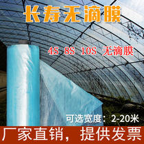 No Drop Greenhouse Film 4s Longevity Film Blue Film Farm Film Anti-Aging Film Vegetable Greenhouse Whole Roll Plastic Film)