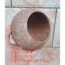 Coconut Shell Old Coconut Shell Opening 9 Coarse Surface Kindergarten School Creative Diy Lamps Handicraft Accessoires matériaux