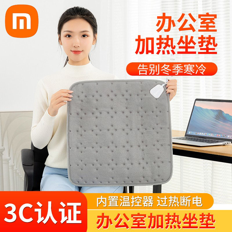 Millet With Pint Heating Cushion Office Seat Cushion Heating Theorizer Small Electric Blanket Cushion Plug-in Electric Heating Mat-Taobao