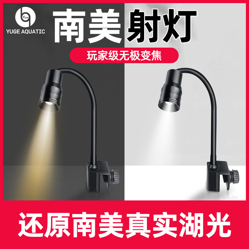 Bidok fish tank building view lamp small spotlight South American cylinder Three lakes to admire native stream amphibious cylinder special led light-Taobao