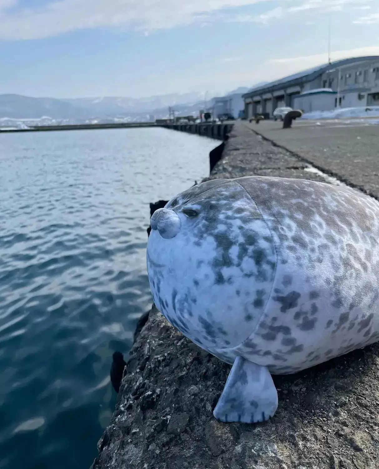 [23.7 дюйма Большая деталь плюшевого мягкого морского котика]