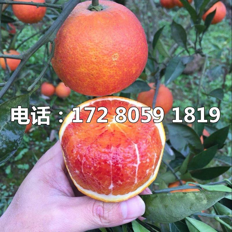 文科生的春天来了！这些专业最适合考公务员，建议收藏，绝不让你失望！