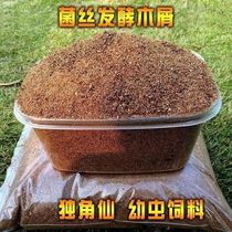 Strawberry larvae Nanyang giant beetle feed fermented sawdust humus soil beetle fermentation scenery feeding mat material