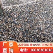 Fujian Natural River Pebble Substation Special Pebble Filter Material River Beach Stone Garden Greening Landscape Transformer Special