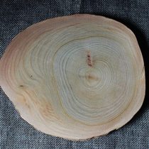 Directly sawn from natural camphor tree root logs