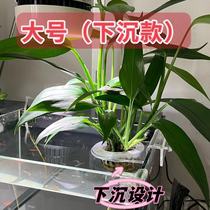 Side wall suction cup fish tank aquarium water plant planting cup water plant fixed basket ring landscaping decorative plant planting hanger