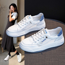 Mesh white shoes for women 2024 summer new style genuine leather internet celebrity breathable flat bottom student popular soft bottom casual sneakers