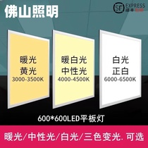 Foshan Lighting three-color dimming 600x600led flat panel light neutral light warm light 300x600x1200 panel light