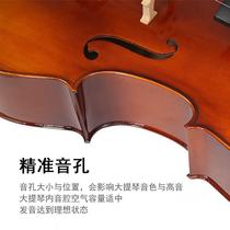 QC101 Cello Handmade Solid Wood Beginner Entry Level Exam Adult Childrens Cello
