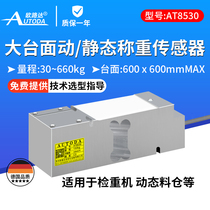 Euroluda AT8530 high-precision large countertop static dynamic weighing sensor inspection machine 100300 kg