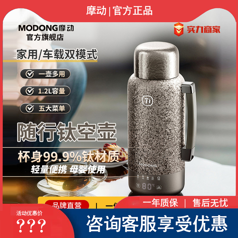 Motorized Pure Titanium Car Electric Heating Cup, Large Capacity Car and Home Electric Kettle, Insulated Kettle, Plug-In Travel Kettle