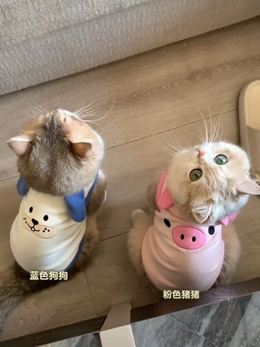 Мятный летний шнурок-держатель, тонкий жилет