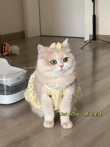 Летняя юбка, шнурок-держатель, тонкое милое платье