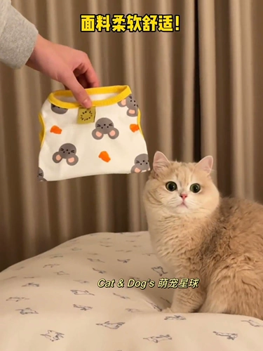 Летний шнурок-держатель, осенний тонкий милый жилет