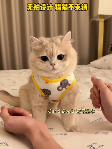 Летний шнурок-держатель, осенний тонкий милый жилет