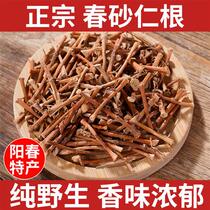 Wild spring sands Rengan Zhengzongyang Chunchun Ringan Dry Root to cook the water farmhouse Self-drying sand Rengan 250 gr
