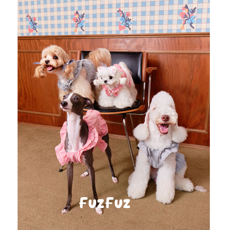 Fuzfuz Small Flying Sleeve Lace Skirt Plaid Small Greyhound Sleeveless Schnauzer German Dog Cat Clothes Fuzfuz Small Flying Sleeve Lace Skirt Plaid Small Greyhound Sleeveless Schnauzer German Dog Cat Clothes