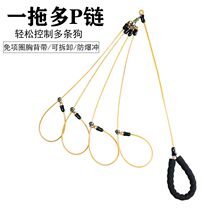 Dog leash explosion-proof one-to-two two-in-one p rope anti-off p-chain pet puppy rope one-to-three dog chain