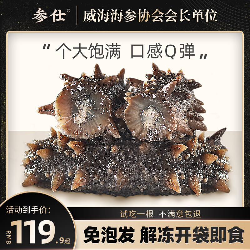 Weihai Sea Cucumber Ready-to-use 500g Spurs for non-Dalian Liao Ginseng Dry Goods Year Goods Delivery Wild Sea 3 Single Loaded Fresh Food-Taobao
