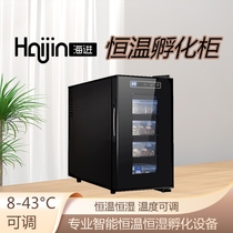 Constant temperature incubator turtle constant humidity incubator reptile incubator egg incubator car refrigerator hot and cold box