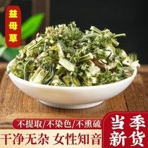 500 grams of motherwort freshly cut into sections and dried in the deep mountains of Guangxi the hometown of longevity can be paired with Millet Spatholobus
