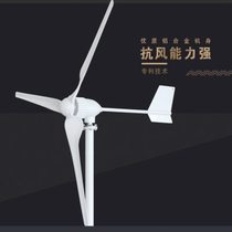 High-end wind turbine household 12V24V220v permanent magnet small wind energy generator with wind and solar complementary control