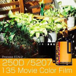 New Batch 135 영화 영화 250d 컬러 C200 초상화 풍경 선샤인 초보자 초보자 포인트 앤 샷 기계 실내 및 실외 기록