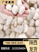 Shaanxi high throw white pebbles Yuhua stone raw stone natural stone succulent paving balcony decoration