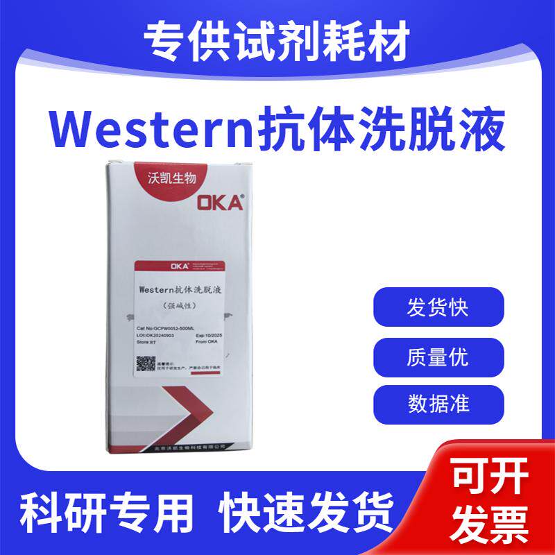 Western?快速转膜液(10&times;) 半干法转膜液